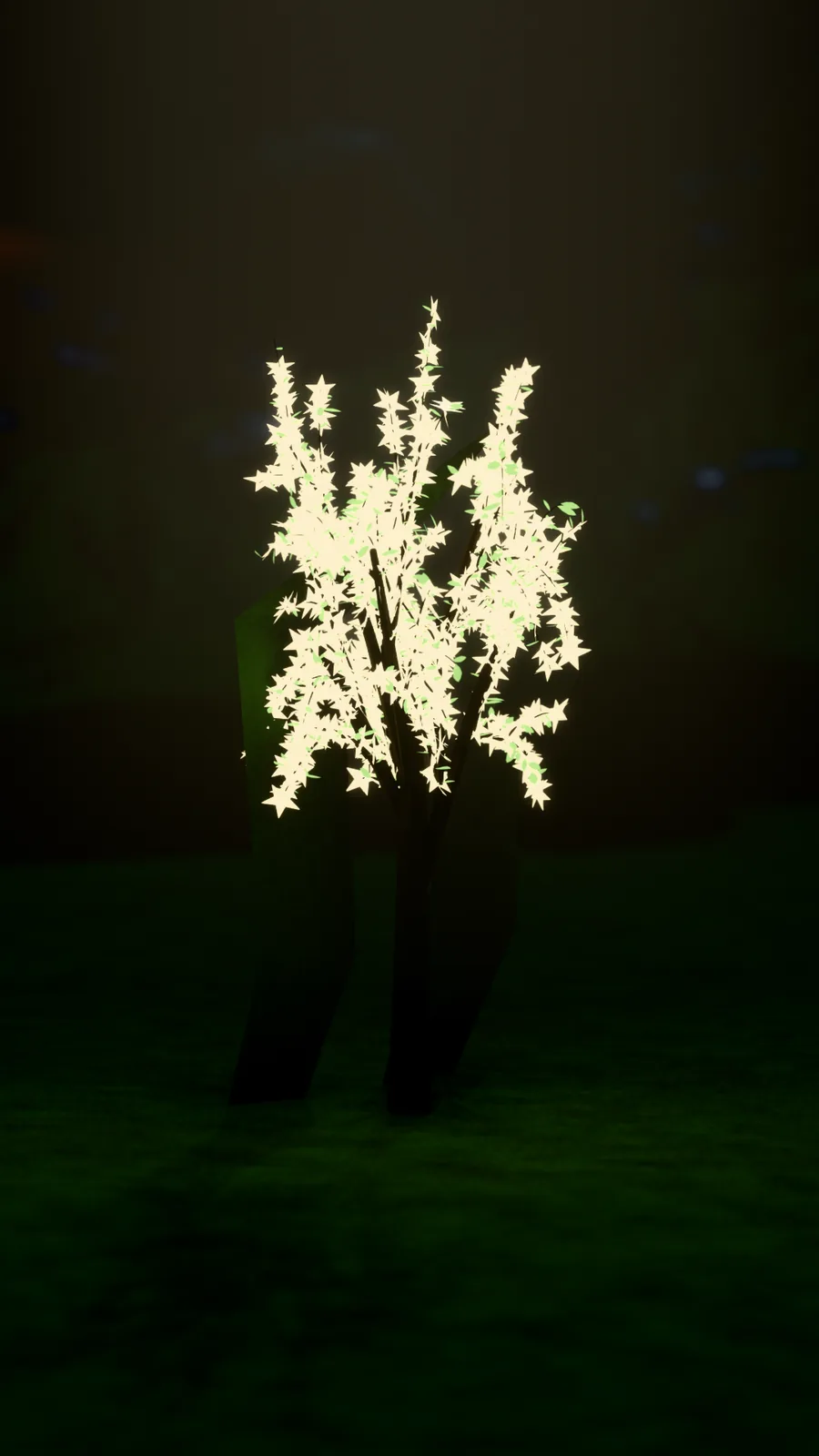 A single tree lit from above in an otherwise dark field, its blossom glowing white.
